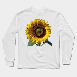 Sunflowers for good luck Long Sleeve T-Shirt